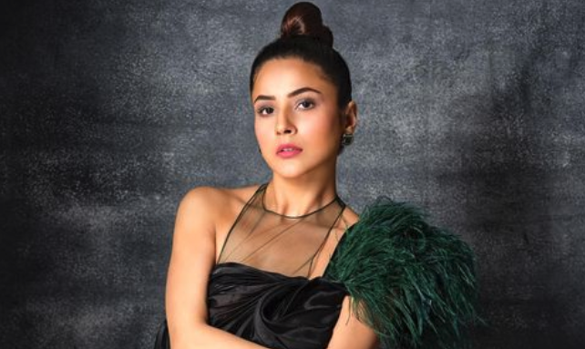 Shehnaaz Gill. foto : indoposnews.co.id/instagram