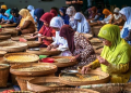 Ilustrasi - Perempuan pekerja menyortir biji kopi kering di pabrik kopi PT Perkebunan Nusantara IX, Jambu, Kabupaten Semarang, Jawa Tengah, Kamis (24/7/2019).