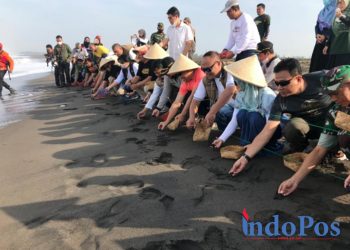 Bupati Kebumen Arif Sugiyanto bersama Wakil Bupati Kebumen Ristawati Purwaningsih mendukung inisiatif Pertamina dengan ikut melepas 50 tukik di kawasan Pantai Kaliratu, Jogosimo