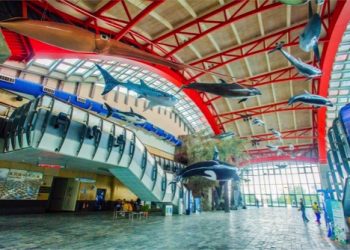 National Museum of Marine Biology & Aquarium