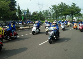 Cleo's Day Out-Cats Morning Scooter