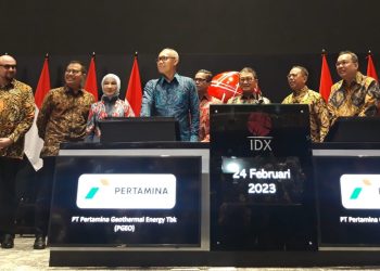 Pertamina Geothermal