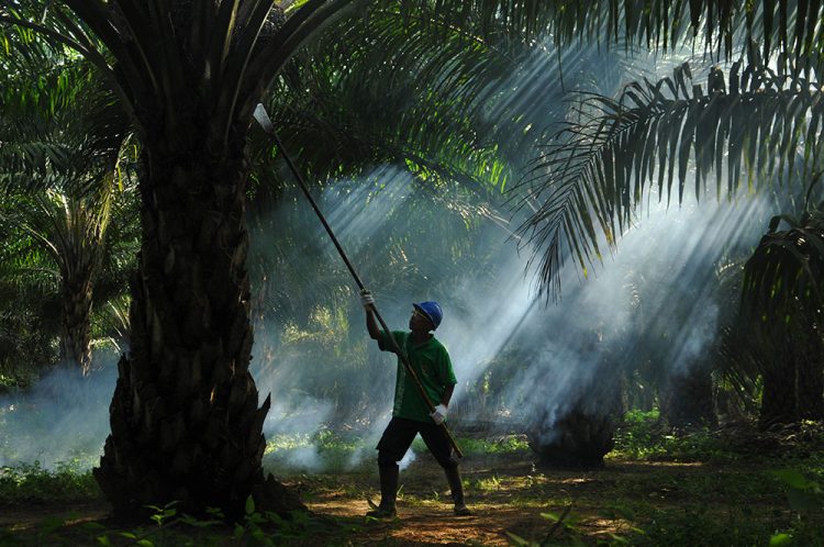 Sampoerna Agro