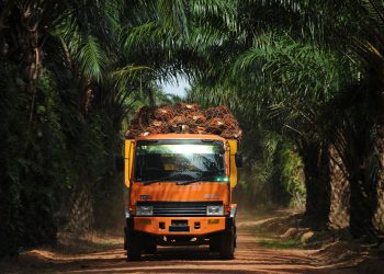 Liabilitas Bengkak, Wilmar Cahaya Catat Penjualan Rp4,71 Triliun