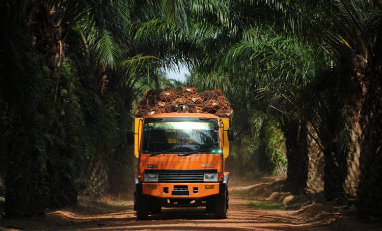 Liabilitas Bengkak, Wilmar Cahaya Catat Penjualan Rp4,71 Triliun