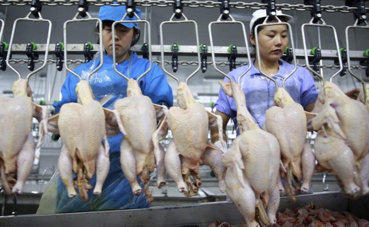 Susut 16 Persen, Laba Charoen Pokphand Sisa Rp2,67 Triliun