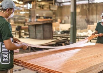 Besok! SLJ Global Izin Private Placement 407,69 Juta Lembar