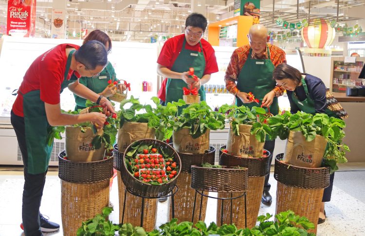 Usung Konsep Omni Channel, Rambla & Happy Harvest Ramaikan Summarecon Mall Bandung