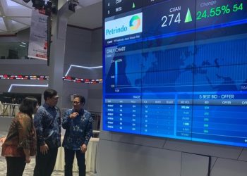 Emiten Prajogo Pangestu Lahap Dana IPO Rp245 Miliar, Telisik Rinciannya
