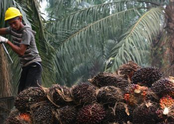 Jalani Suspensi 18 Bulan, Multi Agro Panaskan Antrean Delisting