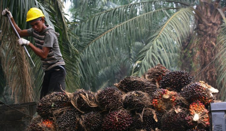 Jalani Suspensi 18 Bulan, Multi Agro Panaskan Antrean Delisting