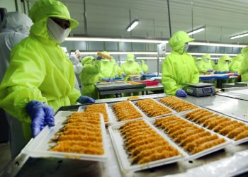 Usai Private Placement, Emiten Putra Jokowi Raup Rp79,06 Miliar