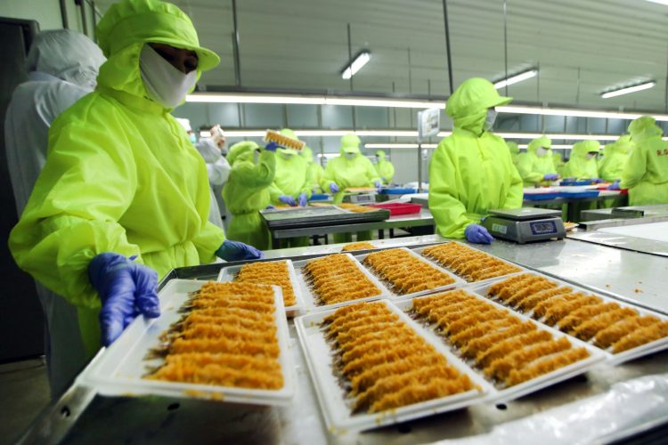 Usai Private Placement, Emiten Putra Jokowi Raup Rp79,06 Miliar