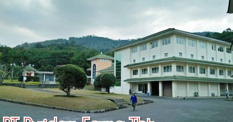 Tambah Modal, Pyridam Right Issue 10,7 Miliar Lembar dengan Rasio 1:20