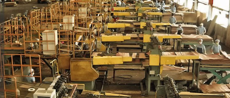 Aksi Sunyi! Natureverse Gulung 1,3 Miliar Saham SLJ Global 