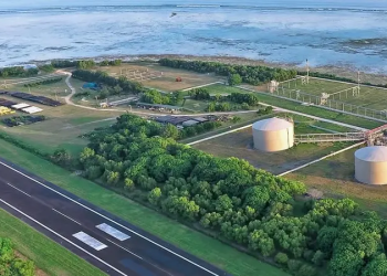 Lagi! Broker Boy Thohir Gulung 1,22 Miliar Saham Energi Mega