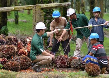 Nyungsep 38 Persen, Laba Astra Agro Tersisa Rp1,05 Triliun
