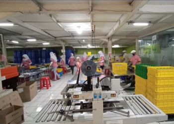 Kompak! Laba dan Pendapatan Estee Gold Melorot