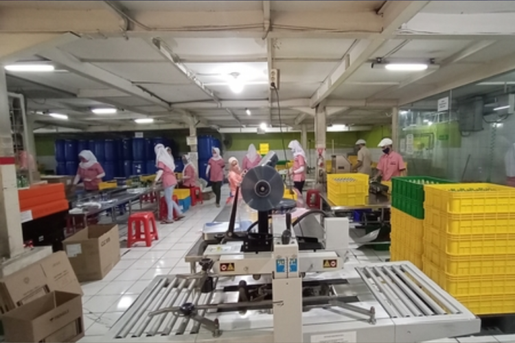 Kompak! Laba dan Pendapatan Estee Gold Melorot