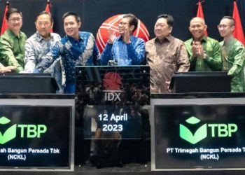 Kantongi Restu, Trimegah Matangkan Right Issue 18,92 Miliar Lembar