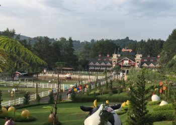 Keren! Cimory Raup Laba Bersih Rp1,24 Triliun