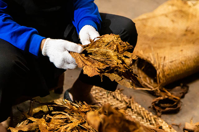 Naik Tipis, Indonesian Tobacco Raup Laba Rp26 Miliar