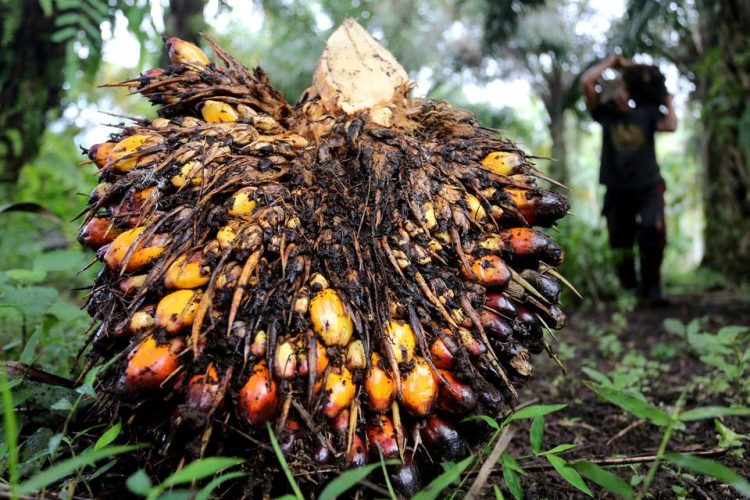 Laba dan Penjualan Fluktuatif, Gozco Defisit Rp1,16 Triliun
