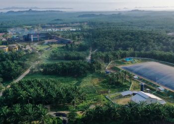 Buyback, Eagle Plantations Siapkan Belanja Rp50 Miliar