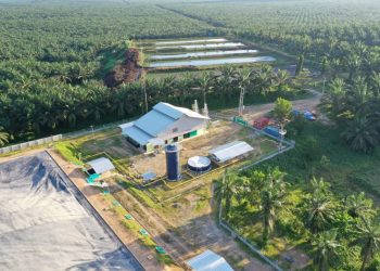 Laba Meroket 913 Persen, Eagle Plantations Defisit Rp4,32 Triliun