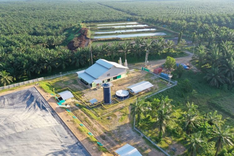 Laba Meroket 913 Persen, Eagle Plantations Defisit Rp4,32 Triliun