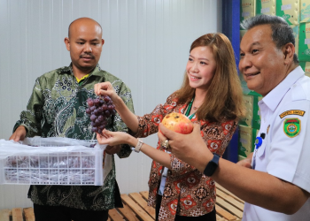 Perkuat Distribusi, Segar Kumala Operasikan 2 Cold Storage Baru