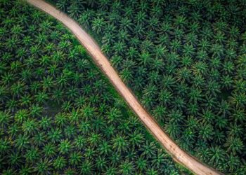 Surplus 25 Persen, Triputra Raup Laba Rp370 Miliar