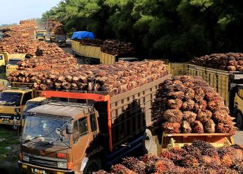 Rugi Terpangkas 63 Persen, Gozco Defisit Rp1,18 Triliun