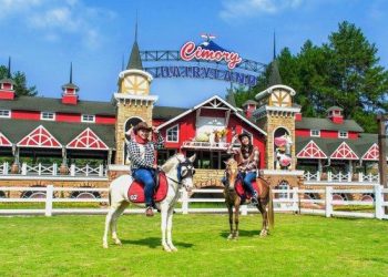 Surplus 29 Persen, Cimory Serok Laba Rp386 Miliar