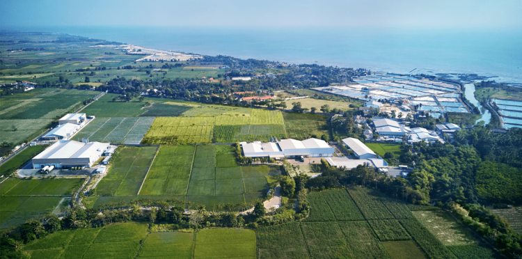 Private Placement Beres, Usaha Putra Jokowi Right Issue 905,9 Juta Lembar