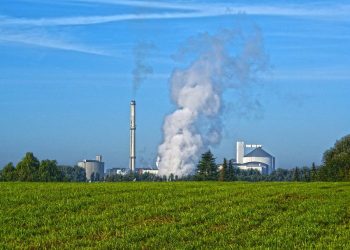 Teliti! Ini Rentetan Jadwal Dividen Tunas Baru Lampung Rp241 Miliar