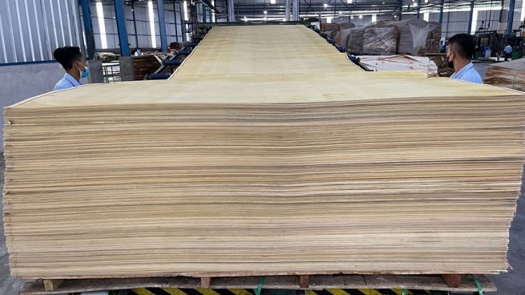 Laba Meroket 183 Persen, Wijaya Timber Tabur Dividen Rp13 Miliar