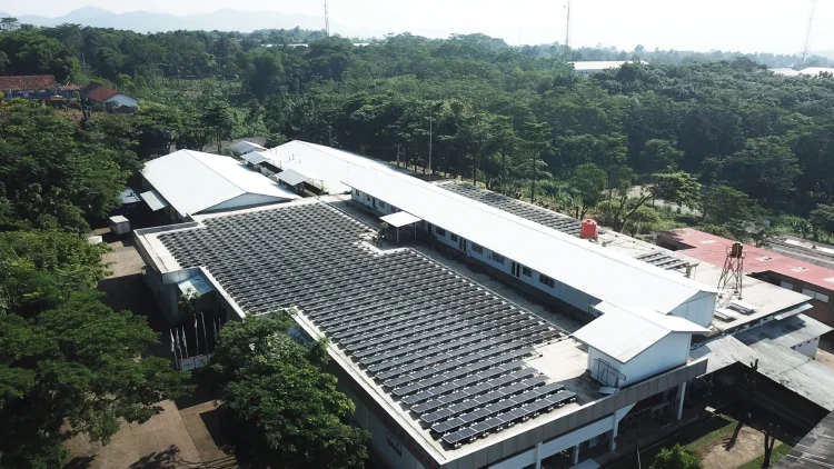 Jalani PKPU, Ini Reaksi Widodo Makmur Unggas