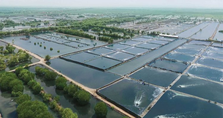 Laba Susut, CP Prima Akumulasi Rugi Rp3,15 Triliun