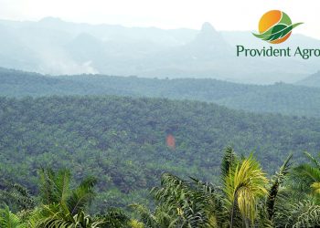 Refinancing, Provident Investasi Jajakan Obligasi Rp1,1 Triliun