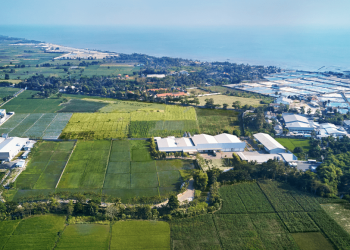 Nyungsep 528 Persen, Emiten Putra Jokowi Boncos USD12,84 Juta