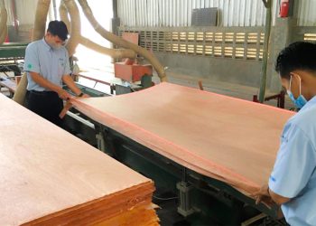 Beli Bahan Baku, Wijaya Timber Ngebound Eximbank Rp100 Miliar