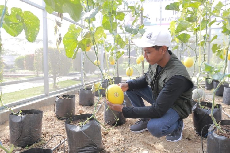 Dongkrak Kesejahteraan Petani, SIG Mainkan Strategi Ini  