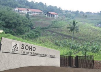 Entitas Soho Global Tarik Pinjaman Rp750 M, Telisik Alokasinya 