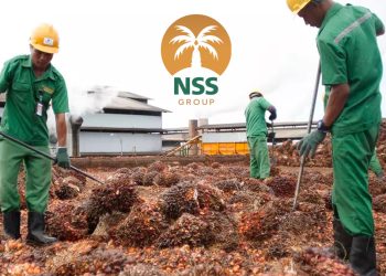 Agresif, Samuel Karungi 3,37 Miliar Saham Nusantara Sawit Rp641 Miliar