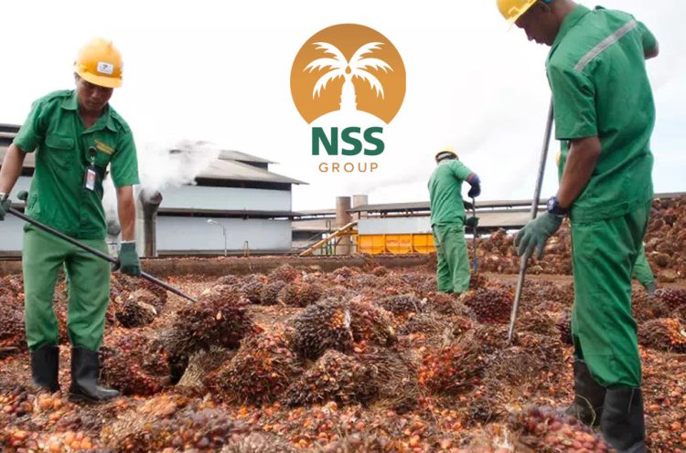 Divestasi 1,48 Miliar Saham Nusantara Sawit, Samuel Kantongi Rp400 Miliar