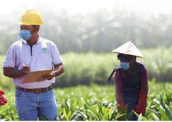 Jatuh Tempo, Provident Investasi Siap Lunasi Obligasi Rp455 Miliar