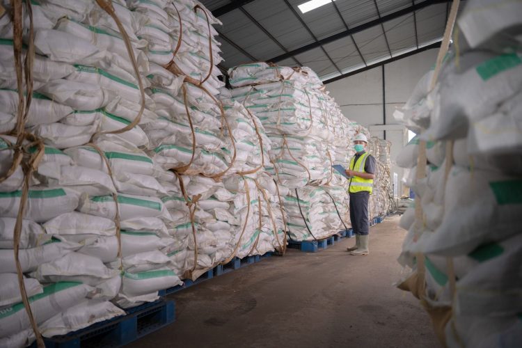 Telisik! Ini Jadwal Stock Split Saraswanti Rasio 1:2