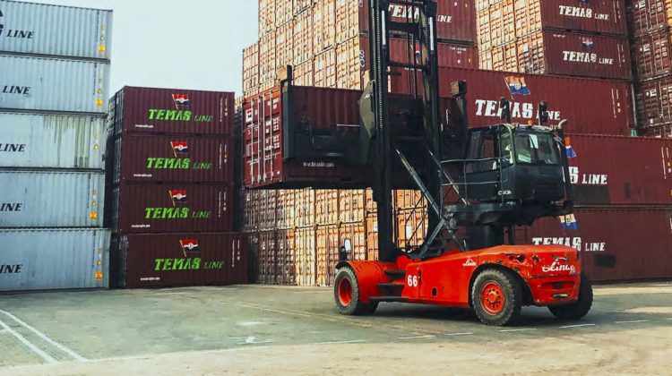 Tumbuh 14 Persen, Temas Koleksi Laba Rp673 Miliar