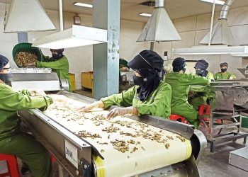 Anjlok 40 Persen, Laba Sido Muncul Sisa Rp233 Miliar